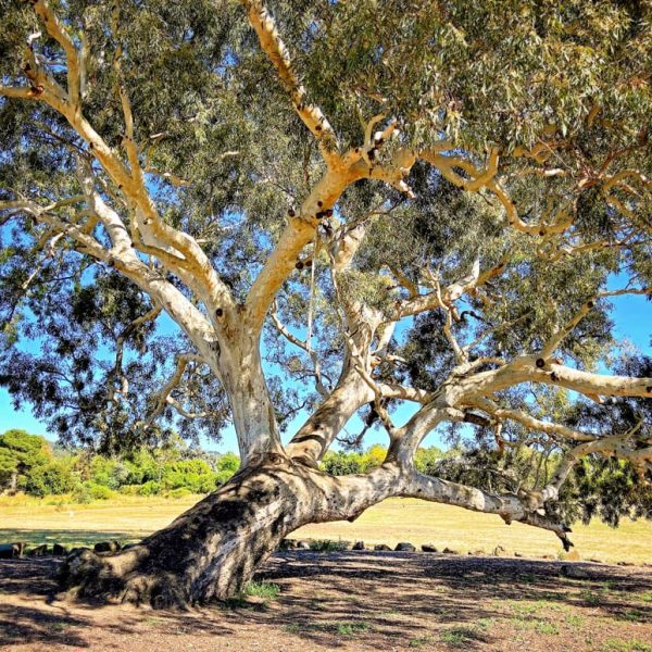 parkland-littlehampton-about-gallery-4