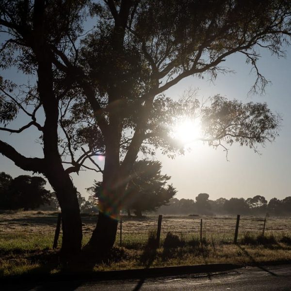 parkland-littlehampton-about-gallery-6